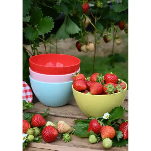 Navigate Strawberries & Cream Set of 4 Stacking Bowls in Mixed Colours