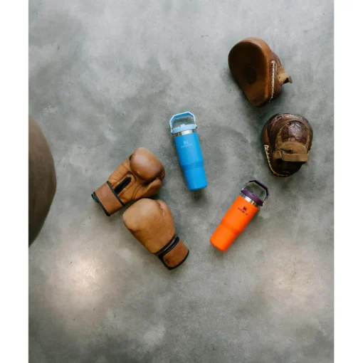 Stanley IceFlow 890ml Flip Straw Travel Tumbler - Tigerlily Plum