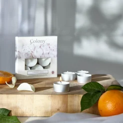 Wax Lyrical Colony Pack of 9 Scented  Tealights - Perfect Day