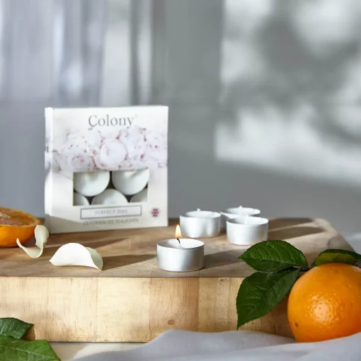 Wax Lyrical Colony Pack of 9 Scented  Tealights - Perfect Day