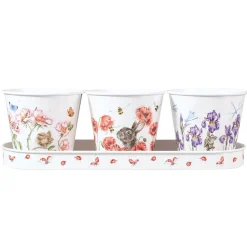 Wrendale Designs by Hannah Dale Set of 3 Herb Pots & Tray - Flowers