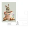 Wrendale Designs by Hannah Dale Postcard - The Flower Pot