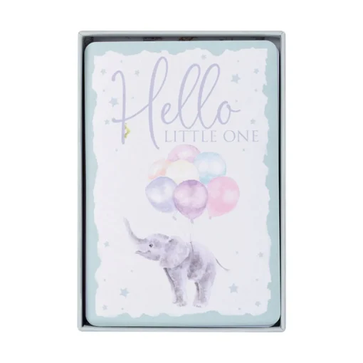 Wrendale Designs by Hannah Dale Little Wren Milestone Cards